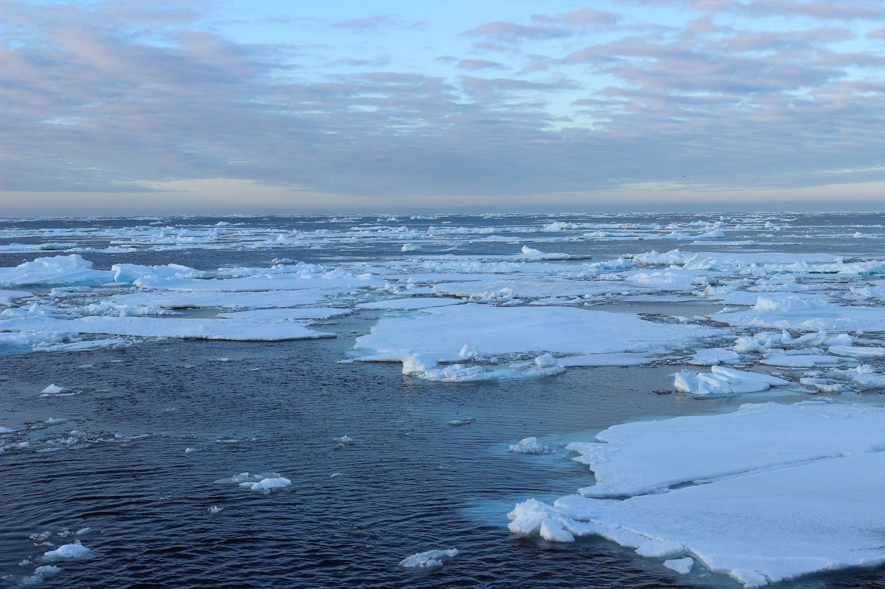 Почему не замерзает баренцево. Баренцево море льды. Арктика Баренцево море. Зимняя граница льдов Баренцево море. Баренцево море айсберги.