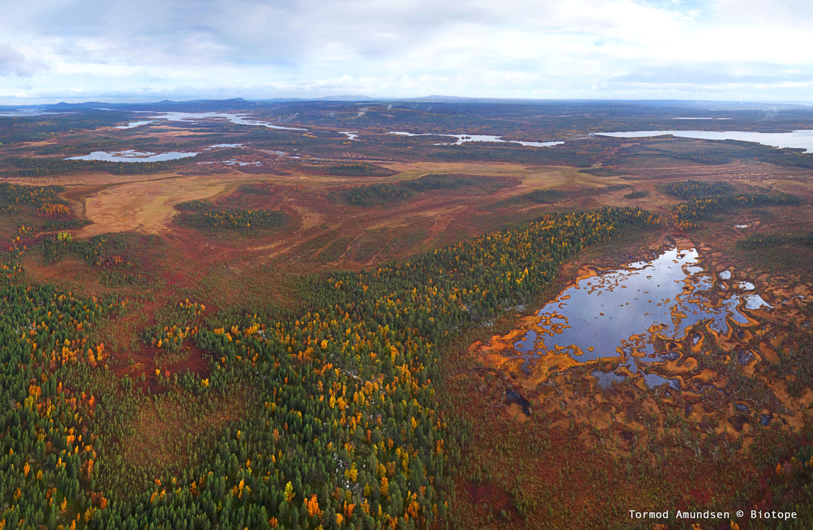Aerial photo of Arctic nature in autumn